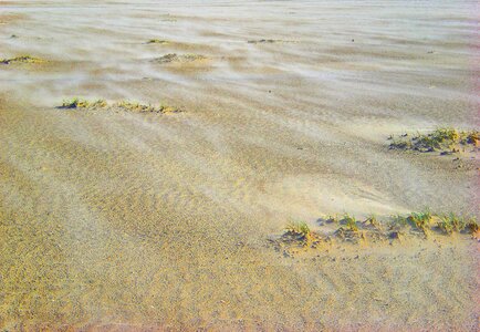 Coast dunes recovery photo