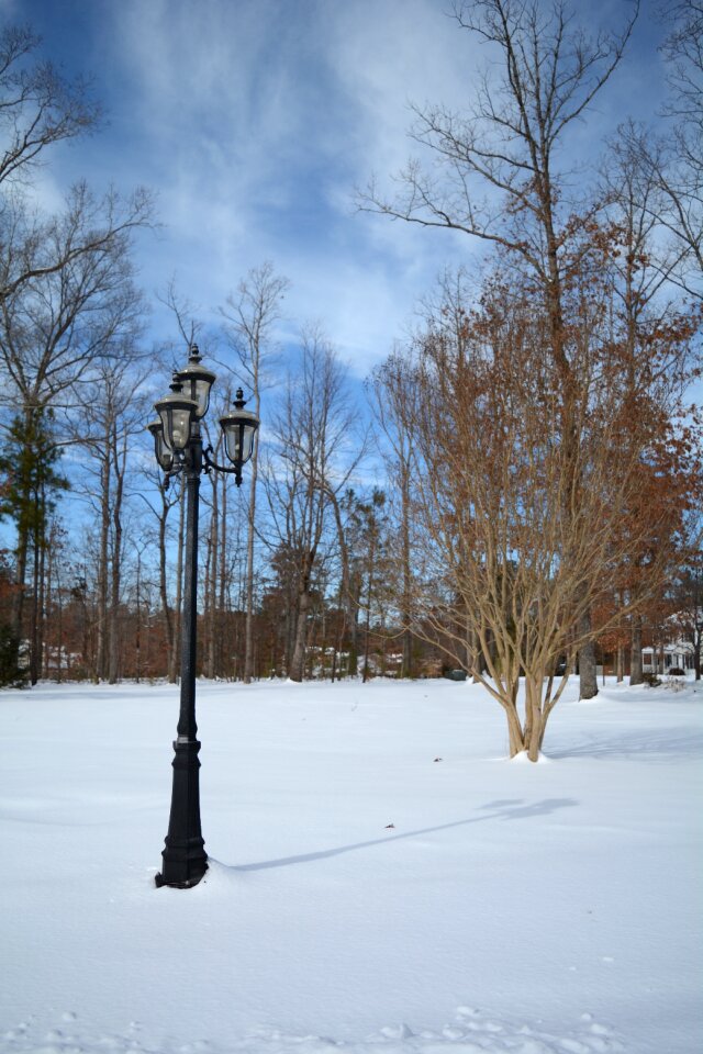 Lamppost cold white