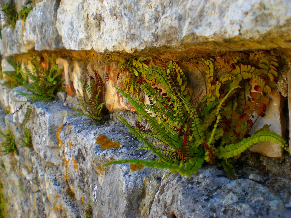 Stone wall old break up