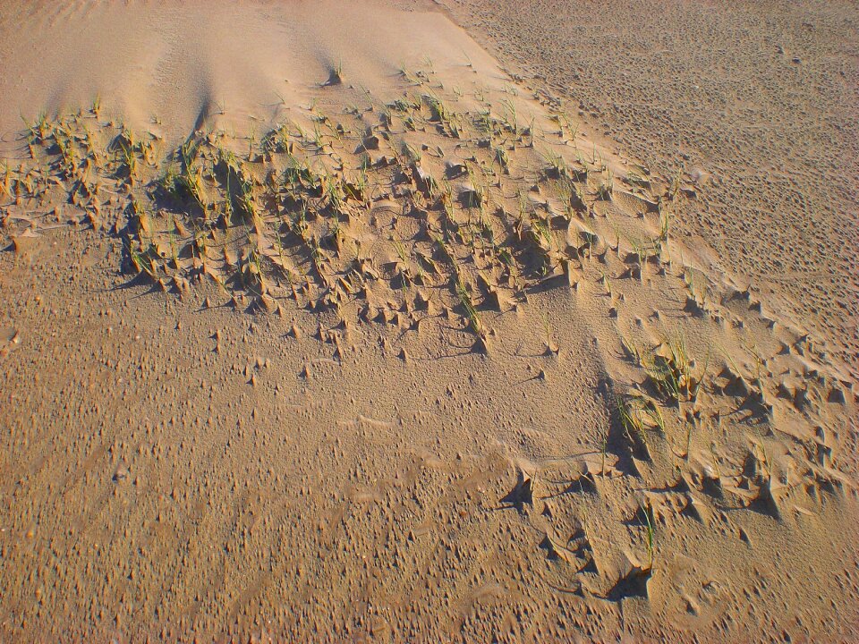 Sand beach wind wave photo