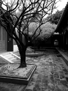 Historical sites temple grounds