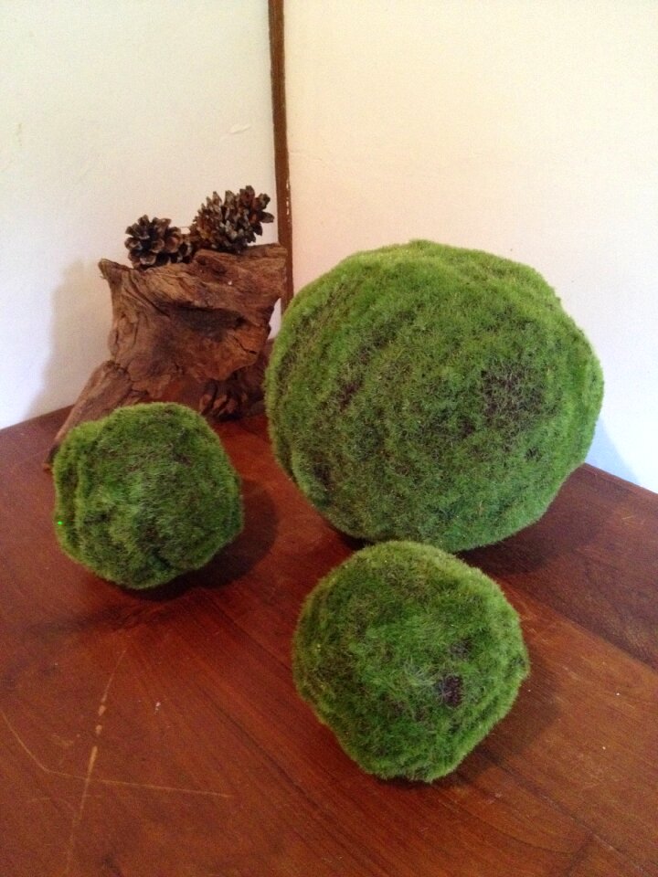 Zen grass ball japanese