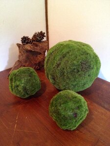 Zen grass ball japanese