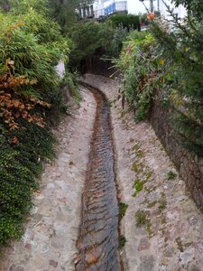 Bach nature water