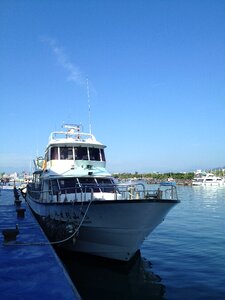 Harbor ship dolphin