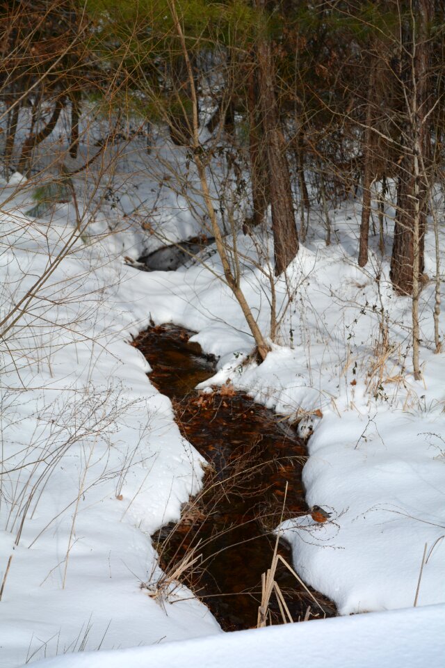 Snow scenery stream