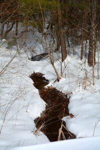 Snow scenery stream