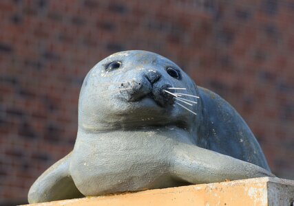 Robbe care station seal station