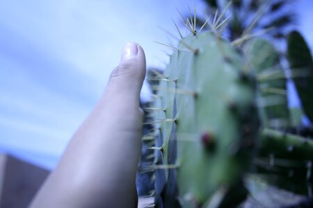 Espinar fingers blue