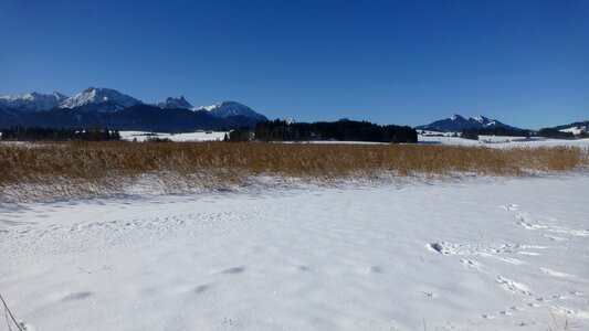Blue sky snow panorama