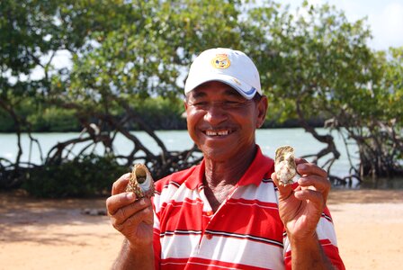 Beach oysters fishing