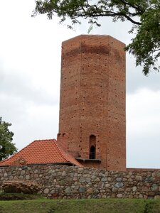 Tower architecture murine tower