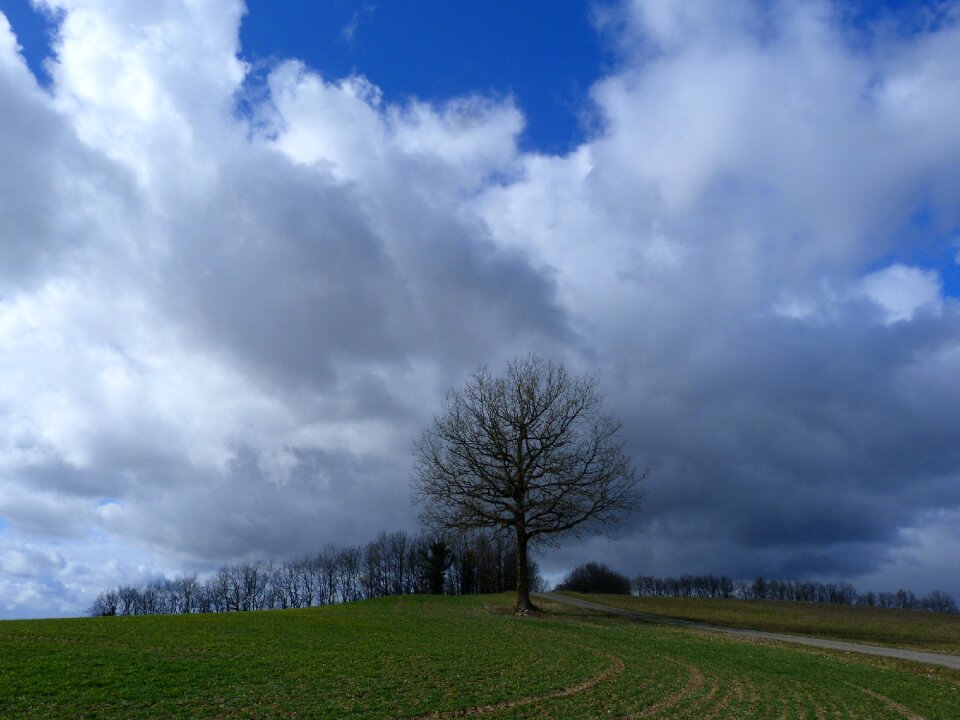 Winter field sky