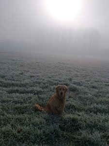 Fog dew cold