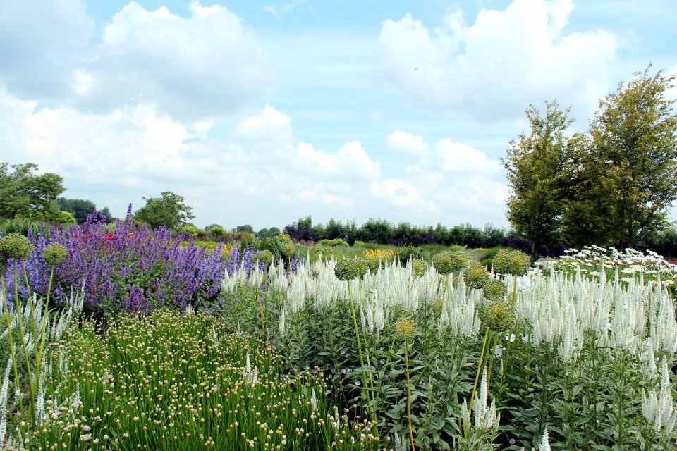 Appeltern nature landscape