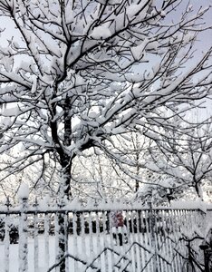 Snow winter beijing