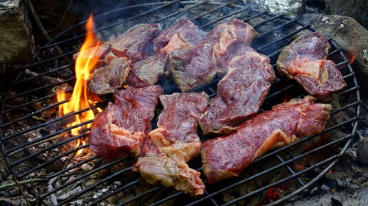 Raw bbq grill photo