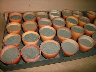 Geology geochemistry sample