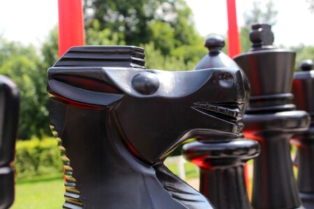 Chess springer chess pieces