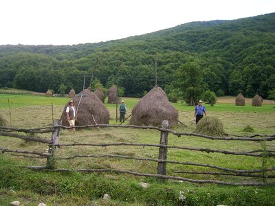 Prairie peasantry closing