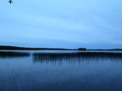 Reed silent finland