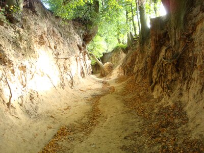 Nature landscape
