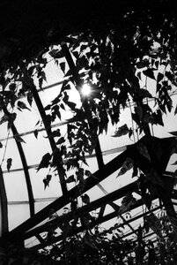 Backlight garden nice