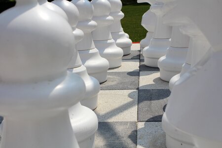 Chess chess board chess pieces