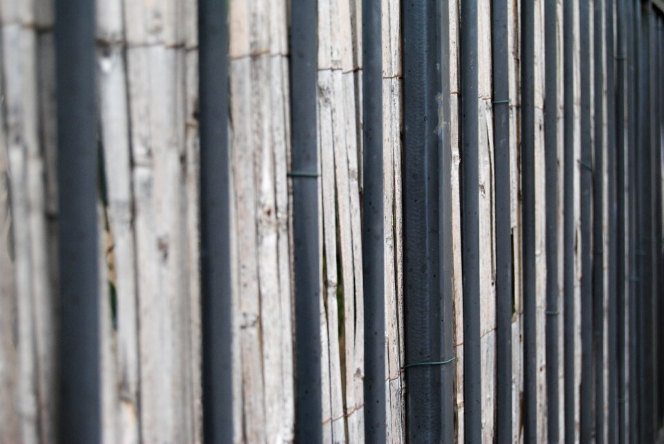 Pattern modern frame