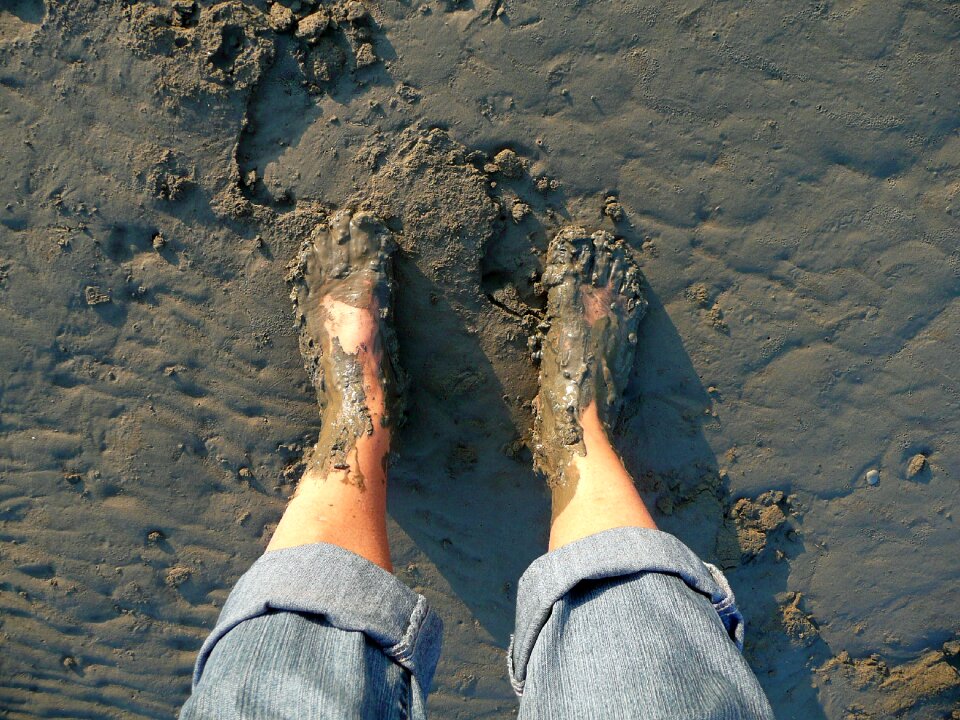 Naked wadden sea north sea