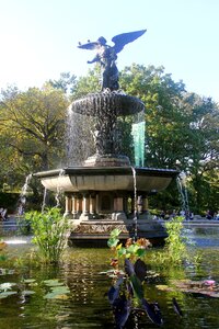 Nature fountain urban