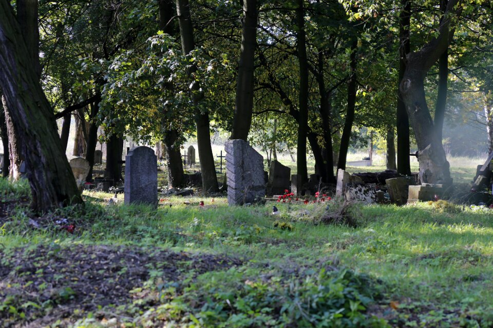 Poznan destroyed cemetery poland