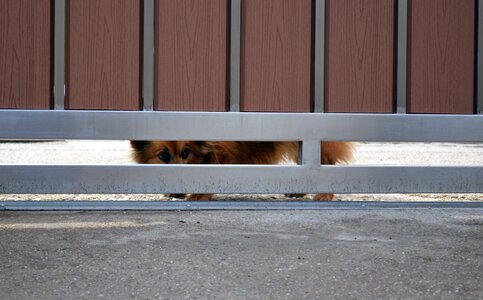 Fence hidden
