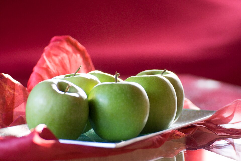 Fresh healthy tree