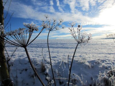 Winter impression eiskristalle