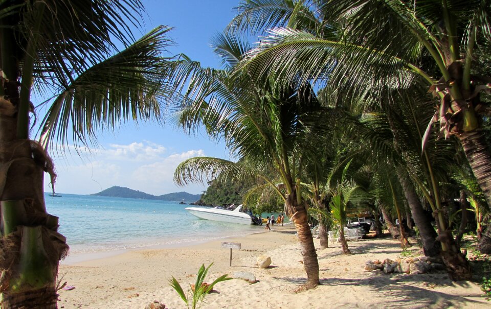 Landscape paradise tranquil