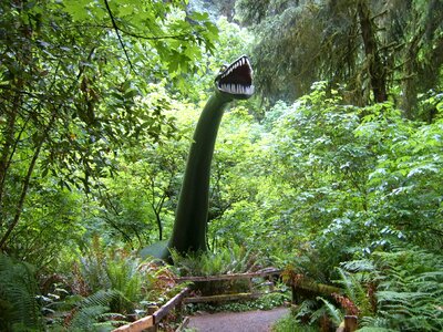 Oregon rainforest green dinosaur