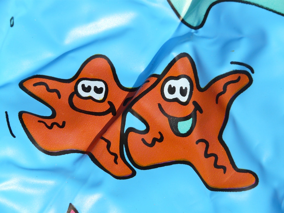 Funny printed starfish