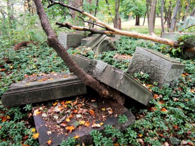 Remnants ruins leftover