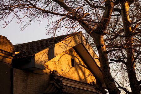 Sunset shadow beijing