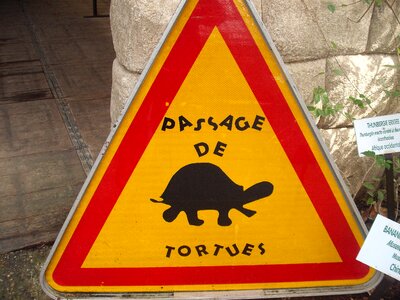 Danger animals humor