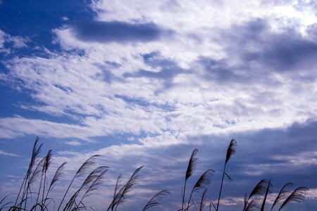 The scenery blue sky taiwan