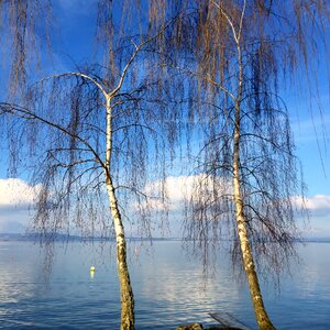 Sky lake mirroring photo