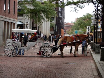 Coach tourist horse-drawn photo