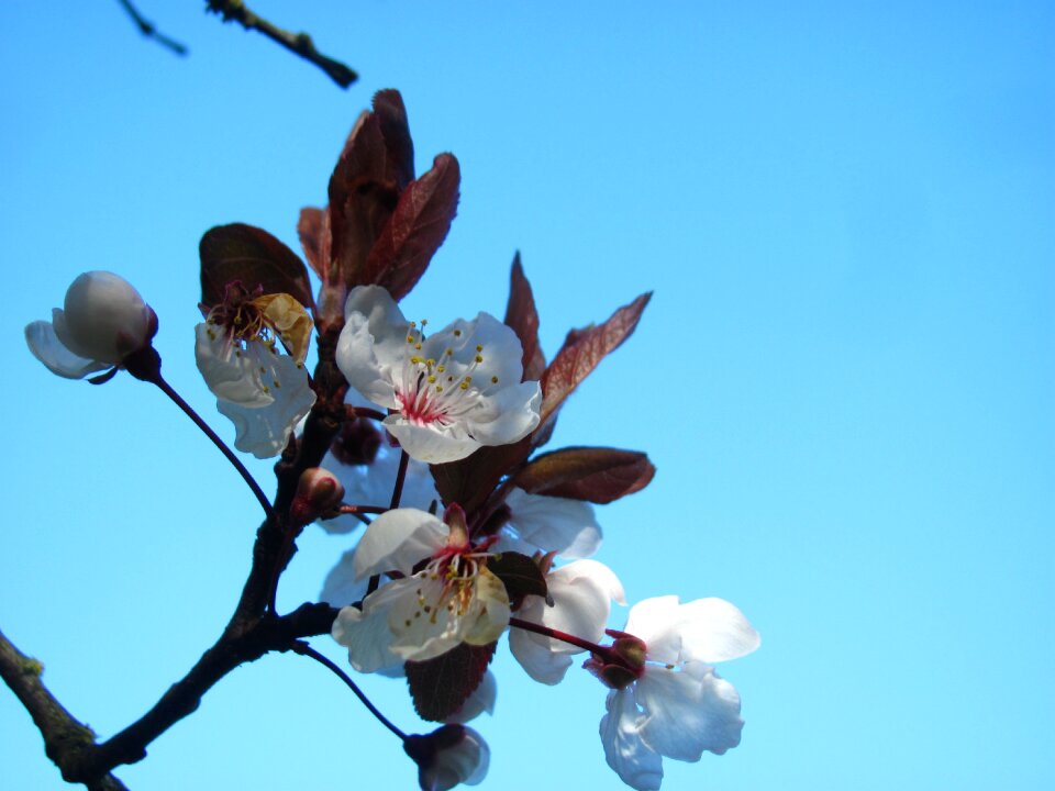 Spring nature park