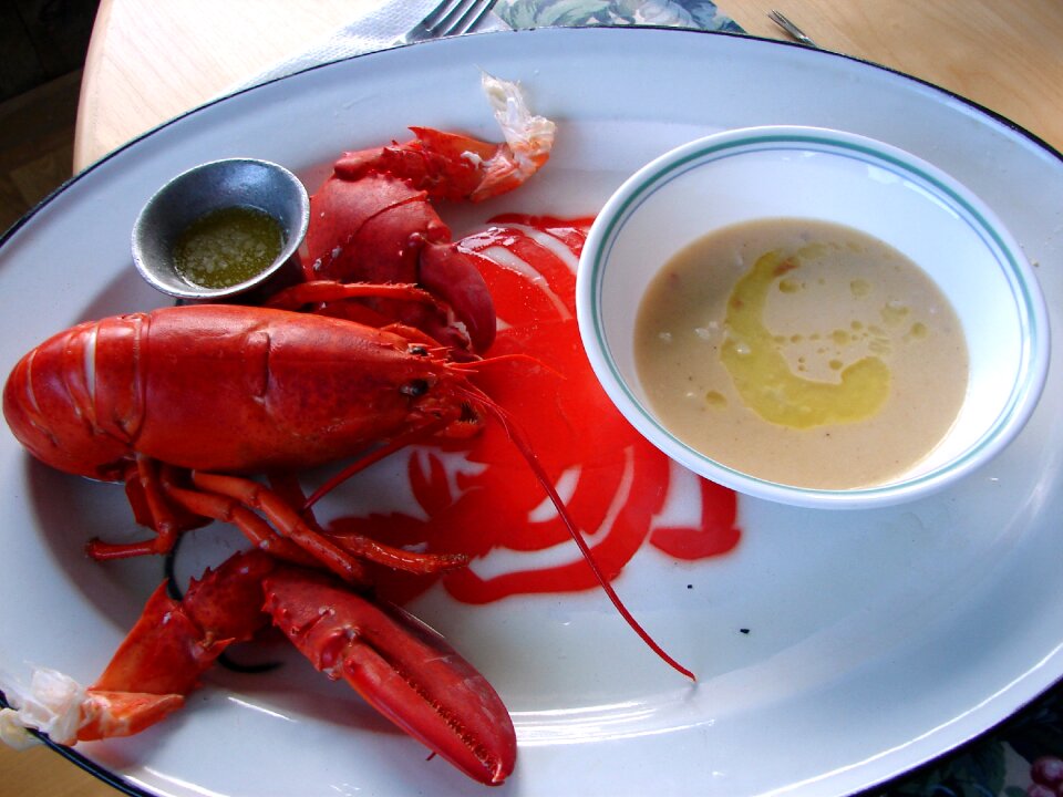Maine seafood shellfish