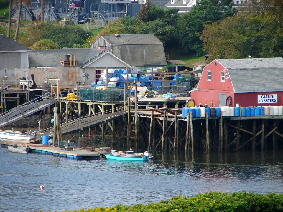 Lobsters waterfront