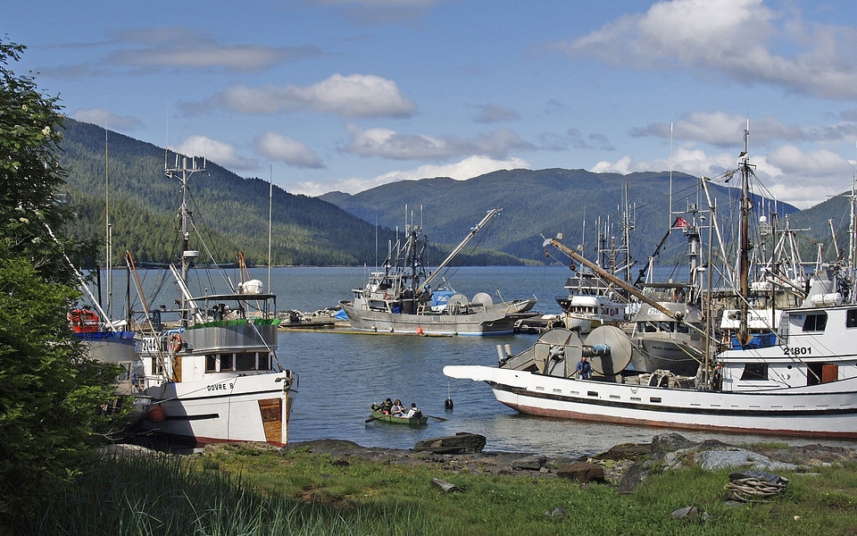 Boats fishing bay