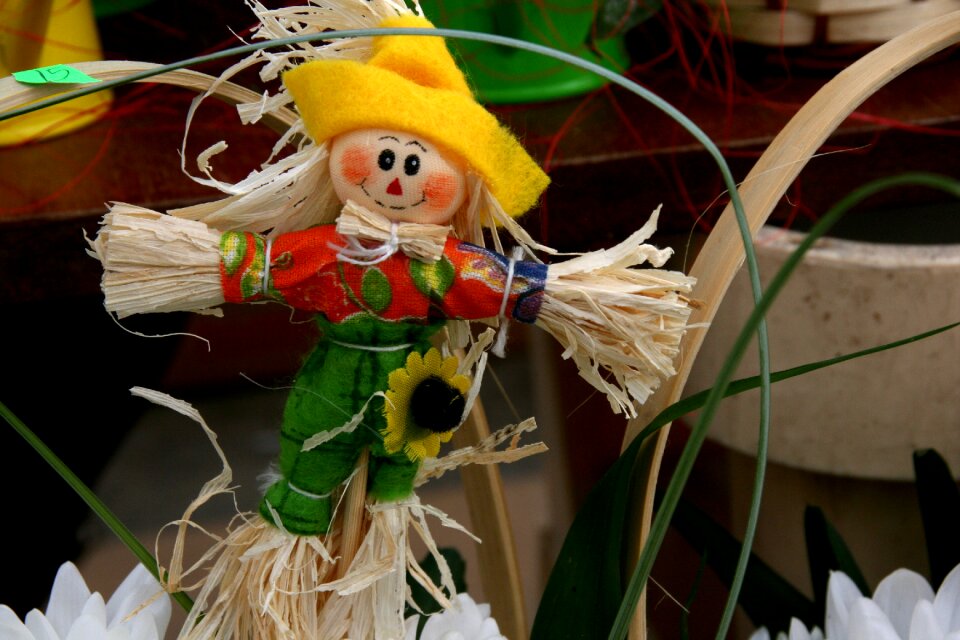 Straw flower spring