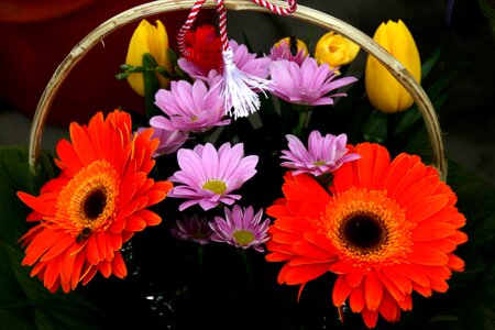 Flowers coloring bouquet